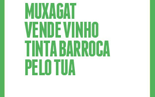 banner-MUXAGAT